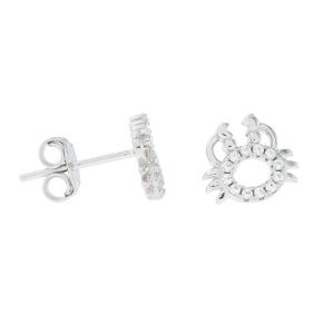 Aros de Cangrejo con Micro Cubic